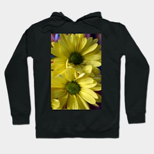 Yellow Daisy Hoodie